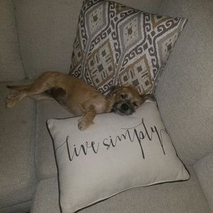 Meet your Posher, Bonnie